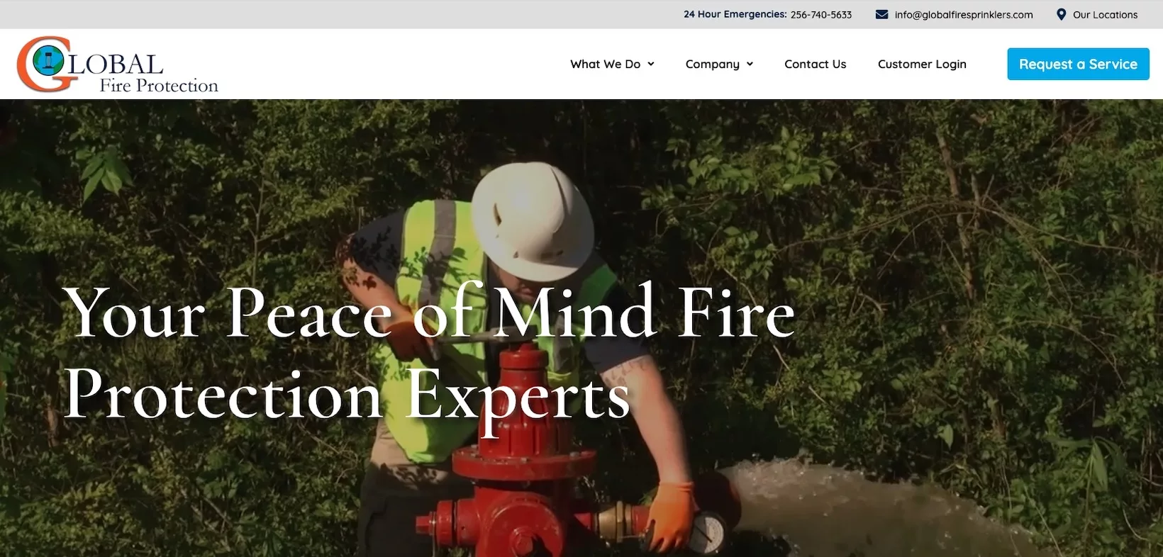 Featured image for “Global Fire Sprinklers”